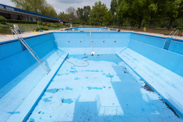 Best Professional water damage repair  in Globe, AZ