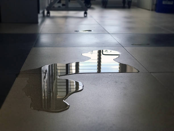 Professional Water damage restoration in Globe, AZ