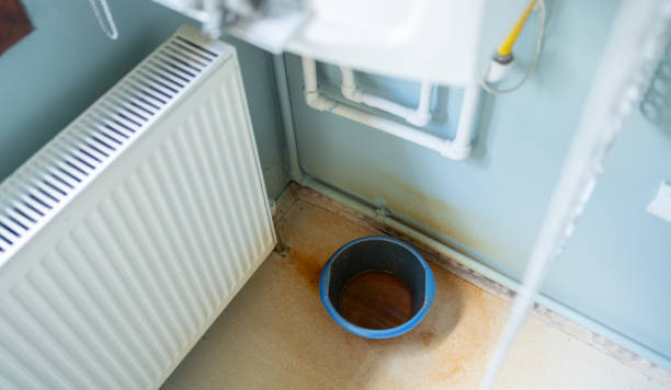 Best Flood restoration services  in Globe, AZ