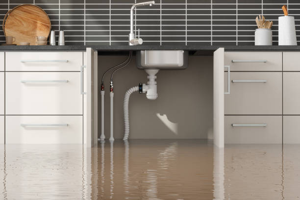  Globe, AZ Water damage restoration Pros
