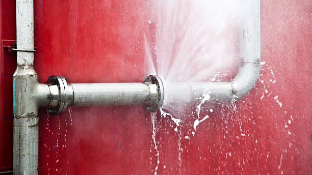 Best Basement water damage restoration  in Globe, AZ