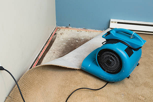 Local water damage restoration in Globe, AZ